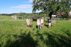 IMG-20200705-WA0029