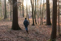 SONY DSC