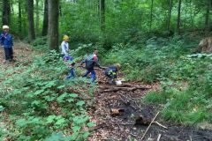IMG_20180825_1630529