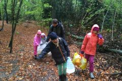 IMG_20181027_1411571