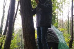 IMG_20181027_1436323
