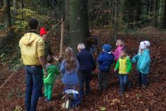 IMG_20181110_1607197