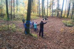 IMG_20181110_1617415