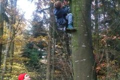 IMG_20181110_1623250