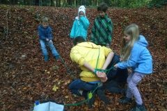 IMG_20181110_1637483