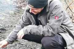 dig