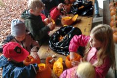 IMG_20191102_1412449