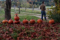 IMG_20191102_1527034