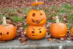 IMG_20191102_1527544
