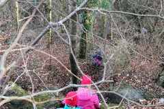 IMG_20200208_151856