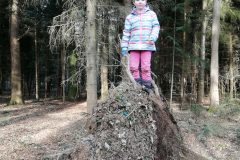 IMG_20200222_152503