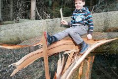 IMG_20200222_155036