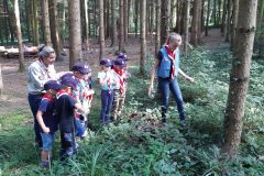 IMG-20200919-WA0003
