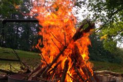 IMG_20200919_1518503